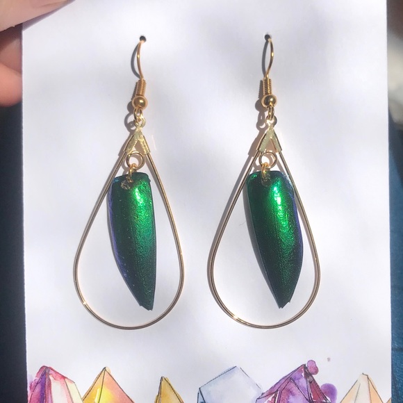 🆕 Real Beetle Wing and Gold Hoop Earrings Gift - Picture 5 of 6